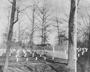 Gräber von Herrn und Frau Custis, umgeben von Unionstoten, Arlington Cemetery
